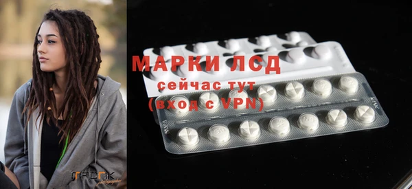 стафф Покачи