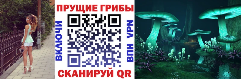 как найти наркотики Клинцы OMG ONION Галлюциногенные грибы ЛСД